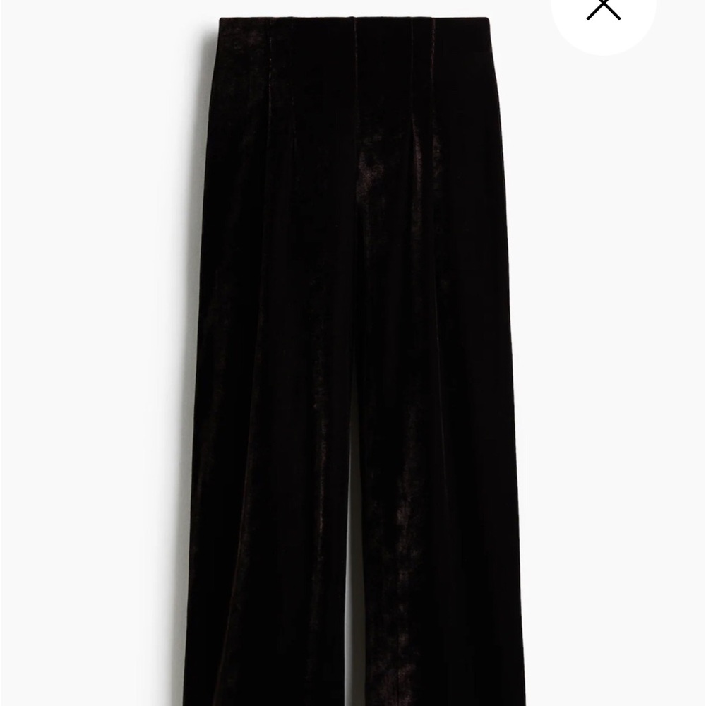 H&M Velour Pants
